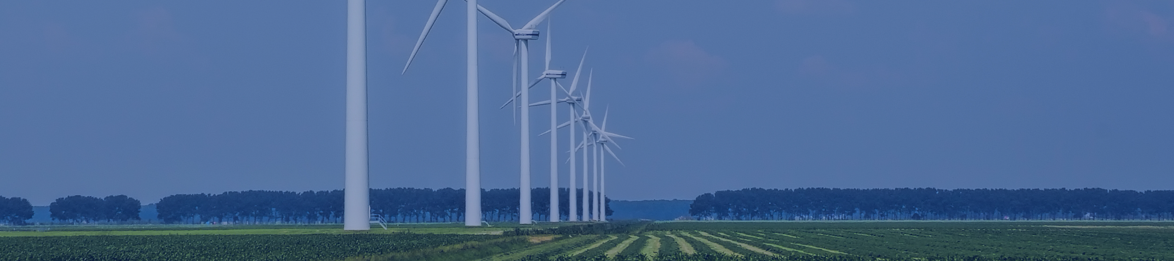 今年会·(中国集团)官方网站