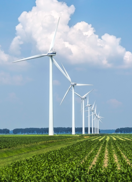 今年会·(中国集团)官方网站