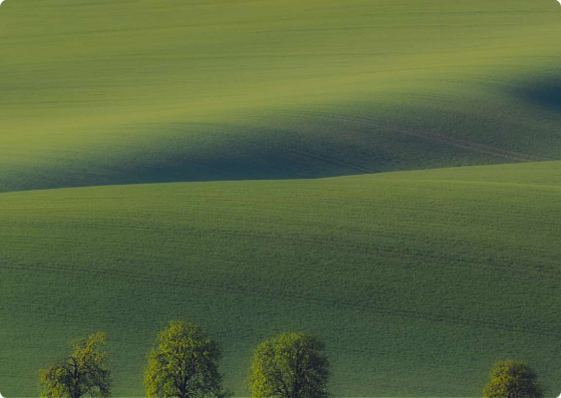 今年会·(中国集团)官方网站