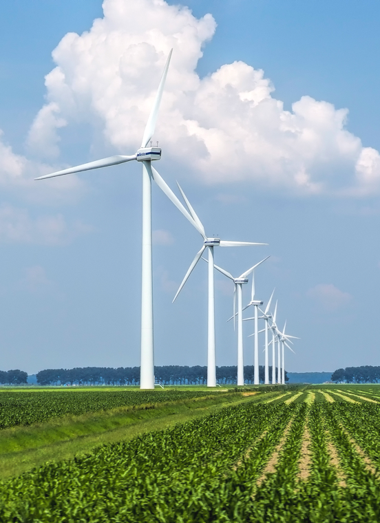 今年会·(中国集团)官方网站